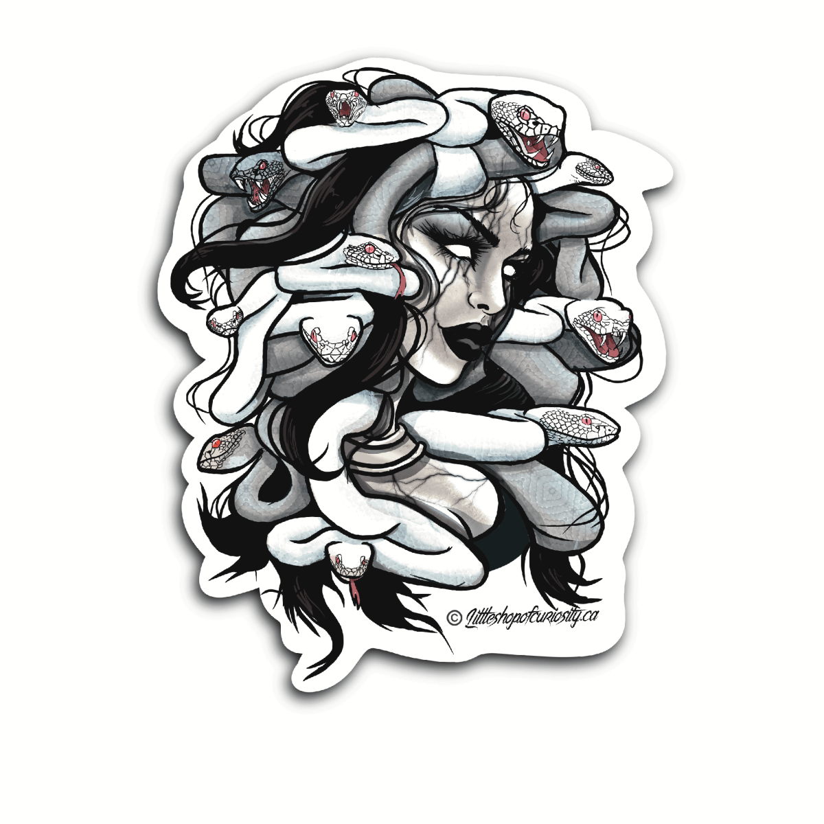Medusa Bust Sticker - Colour Sticker - Little Shop of Curiosity