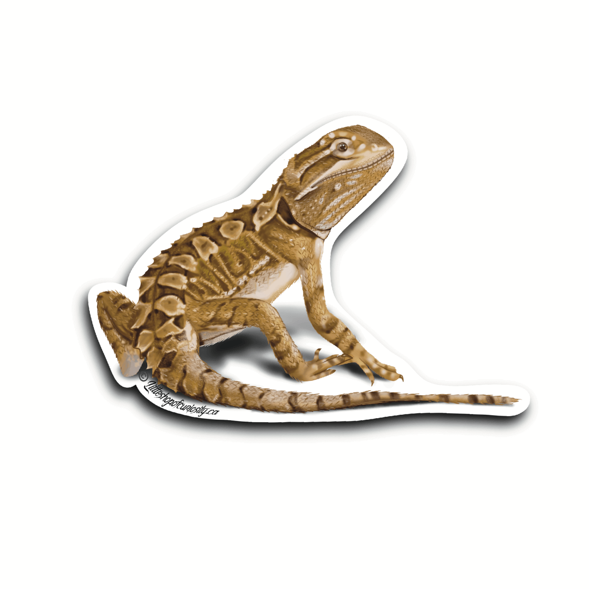 Rankin's Dragon Sticker - Colour Sticker - Little Shop of Curiosity