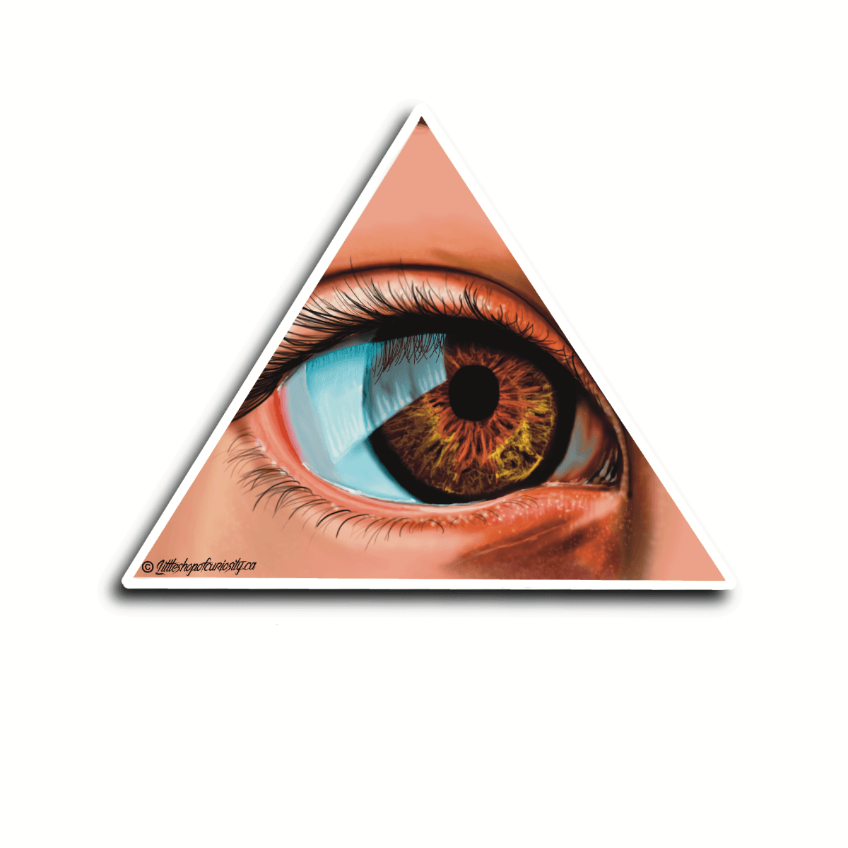 All Seeing Eye Sticker - Colour Sticker - Little Shop of Curiosity