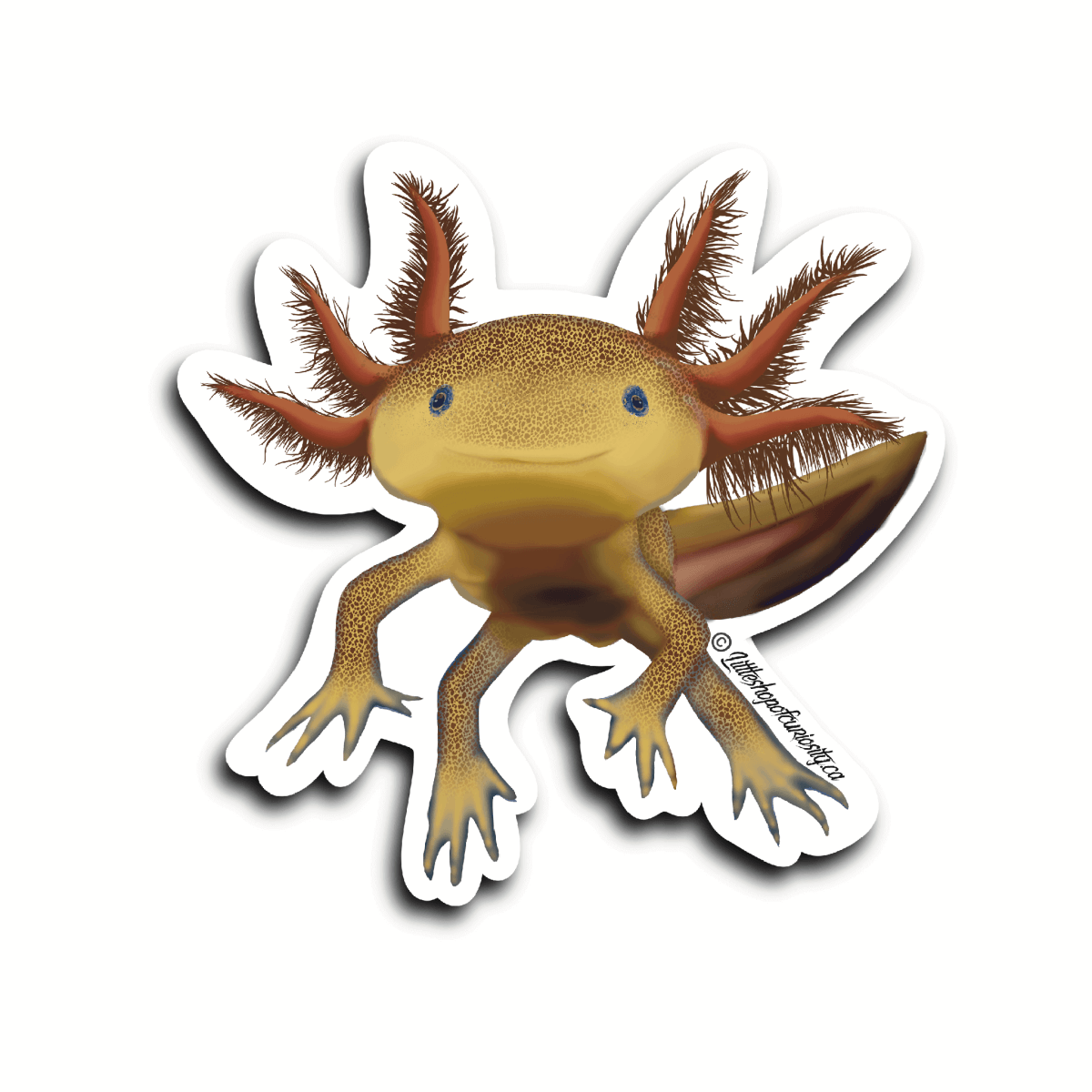 Axolotl Sticker - Colour Sticker - Little Shop of Curiosity