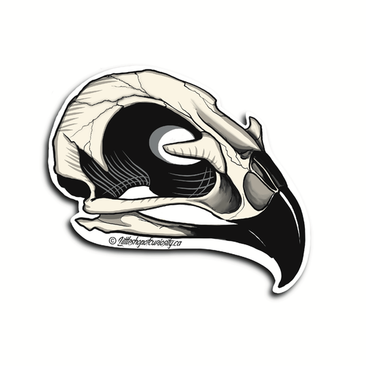 Bird Skull Sticker - Colour Sticker - Little Shop of Curiosity