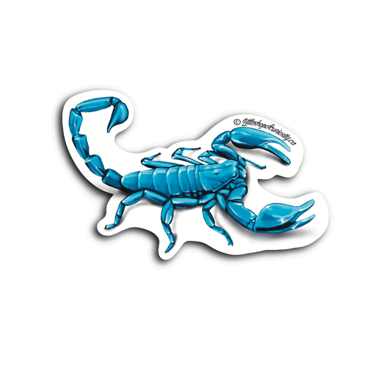 Blue Scorpion Under UV Sticker - Colour Sticker - Little Shop of Curiosity