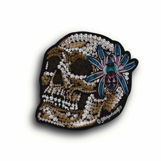 Brazilian Jewel Tarantula on Skull Sticker - Jewelled - Colour Sticker - Little Shop of Curiosity
