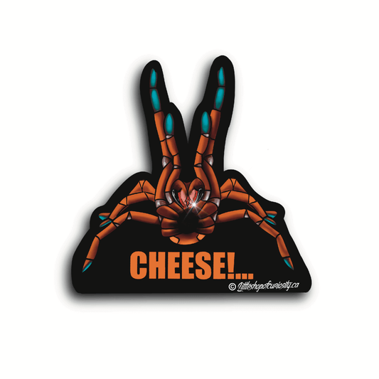CHEESE! Sticker - Colour Sticker - Little Shop of Curiosity
