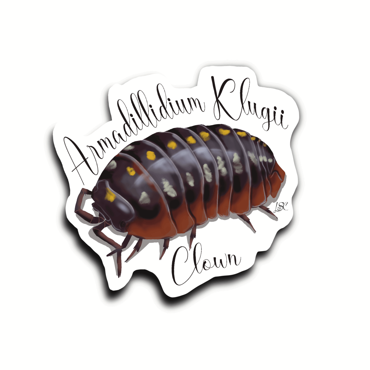 Clown Isopod Sticker - Colour Sticker - Little Shop of Curiosity