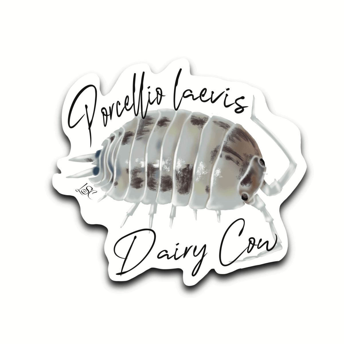 Dairy Cow Isopod Sticker - Colour Sticker - Little Shop of Curiosity