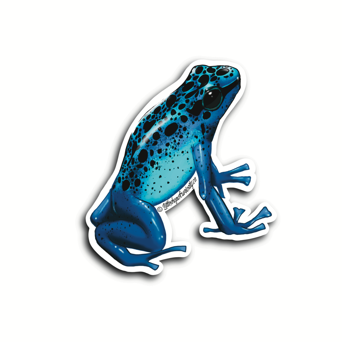 Dyeing Poison Dart Frog Sticker - 'Azureus' - Colour Sticker - Little Shop of Curiosity