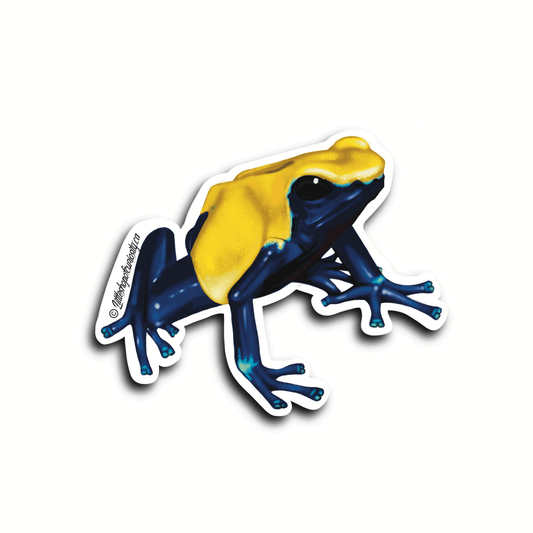 Dyeing Poison Dart Frog Sticker - 'Citronella' - Colour Sticker - Little Shop of Curiosity