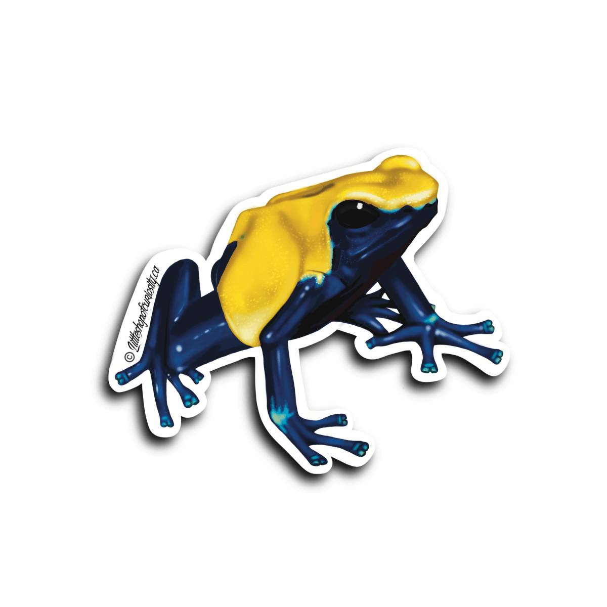 Dyeing Poison Dart Frog Sticker - 'Citronella' - Colour Sticker - Little Shop of Curiosity