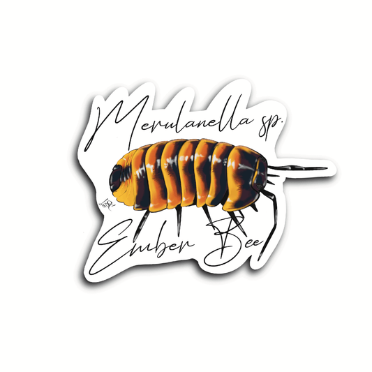 Ember Bee Isopod Sticker - Colour Sticker - Little Shop of Curiosity