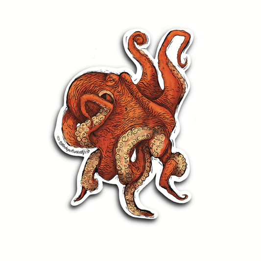 Giant Pacific Octopus Sticker - Colour Sticker - Little Shop of Curiosity