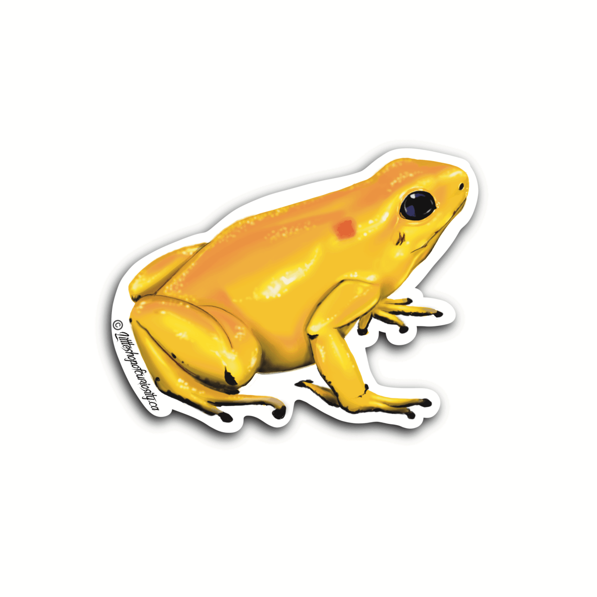 Golden Poison Dart Frog Sticker - Colour Sticker - Little Shop of Curiosity
