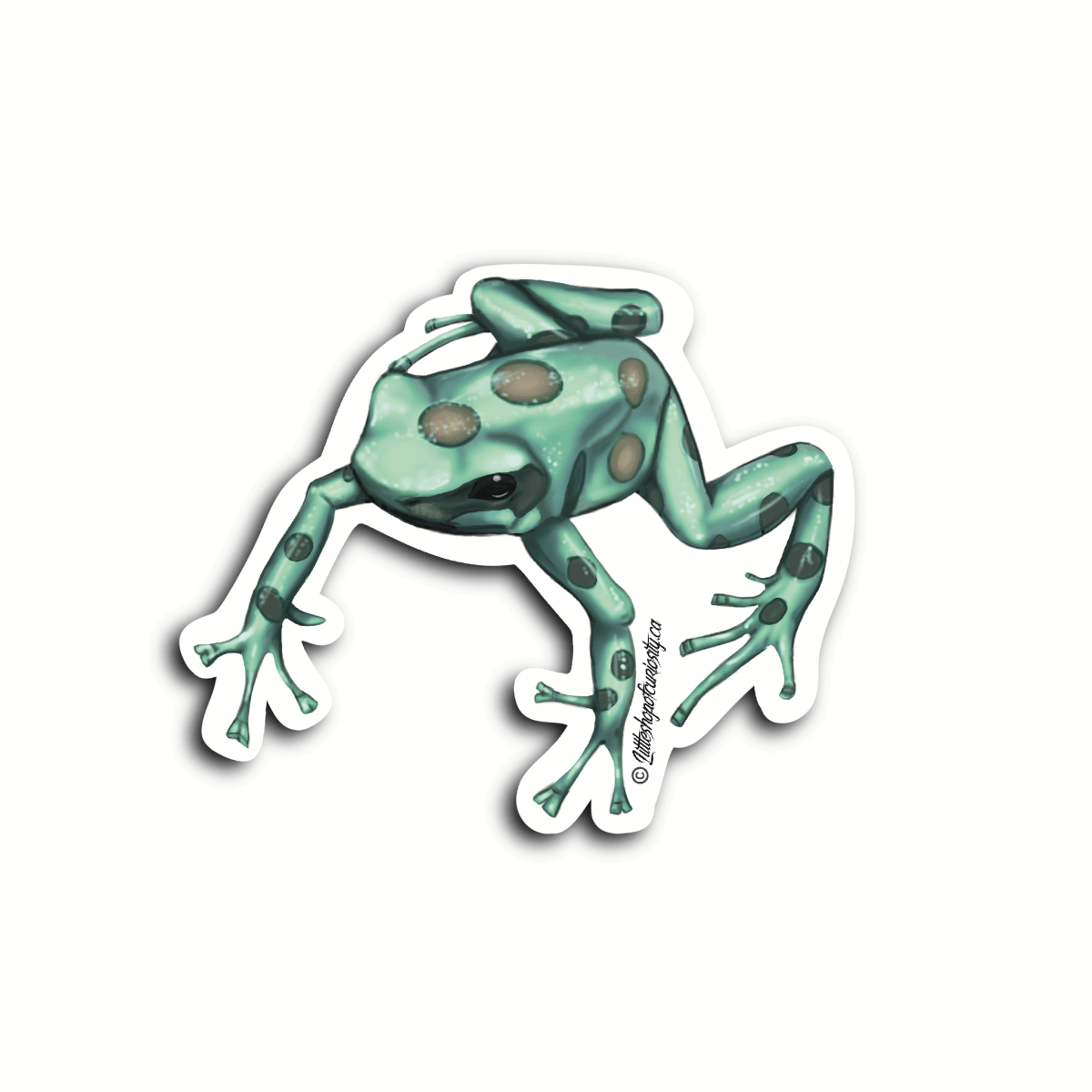 Green & Black Poison Dart Frog Sticker - 'Green and Bronze' - Colour Sticker - Little Shop of Curiosity