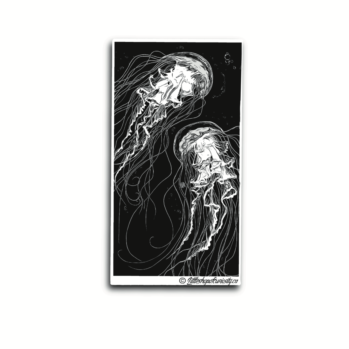 Jellyfish Black & White Sticker - Black & White Sticker - Little Shop of Curiosity