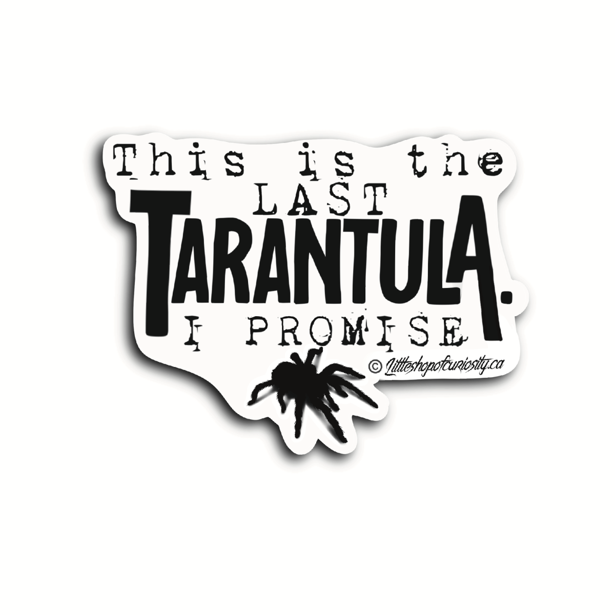 Last Tarantula Sticker - Black & White Sticker - Little Shop of Curiosity