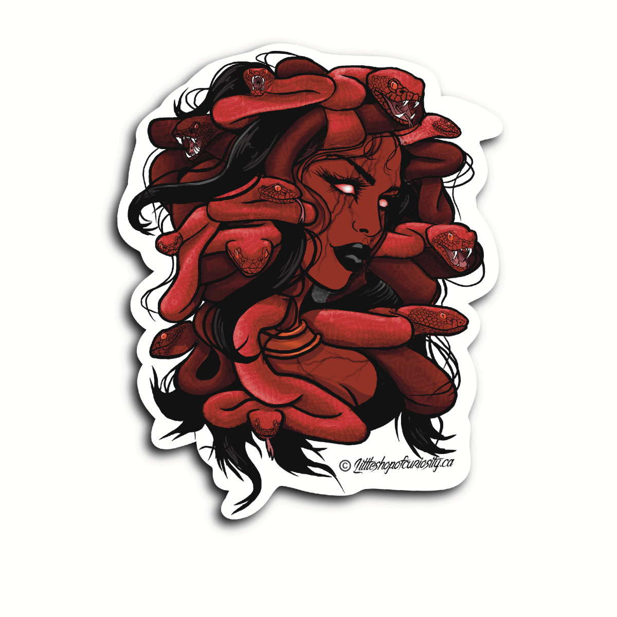 Medusa Bust Sticker - Colour Sticker - Little Shop of Curiosity