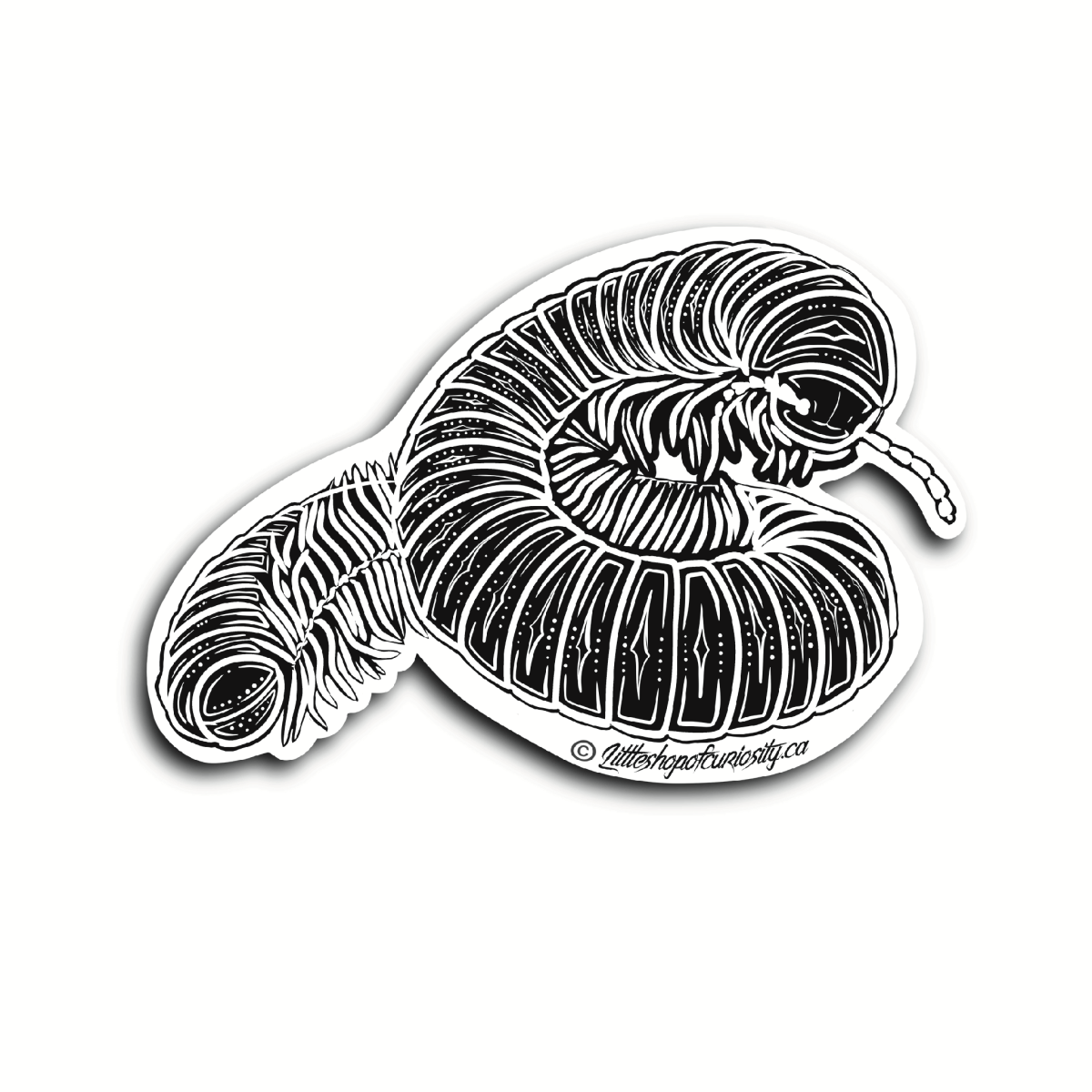 Millipede Black & White Sticker - Colour Sticker - Little Shop of Curiosity