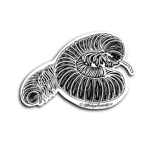 Millipede Black & White Sticker - Colour Sticker - Little Shop of Curiosity