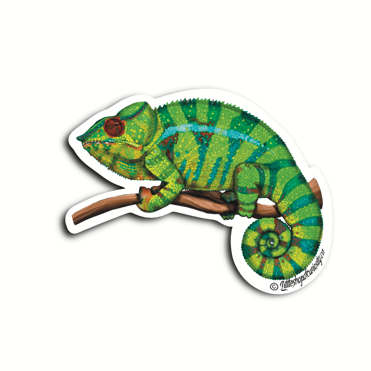 Panther Chameleon Sticker - Colour Sticker - Little Shop of Curiosity