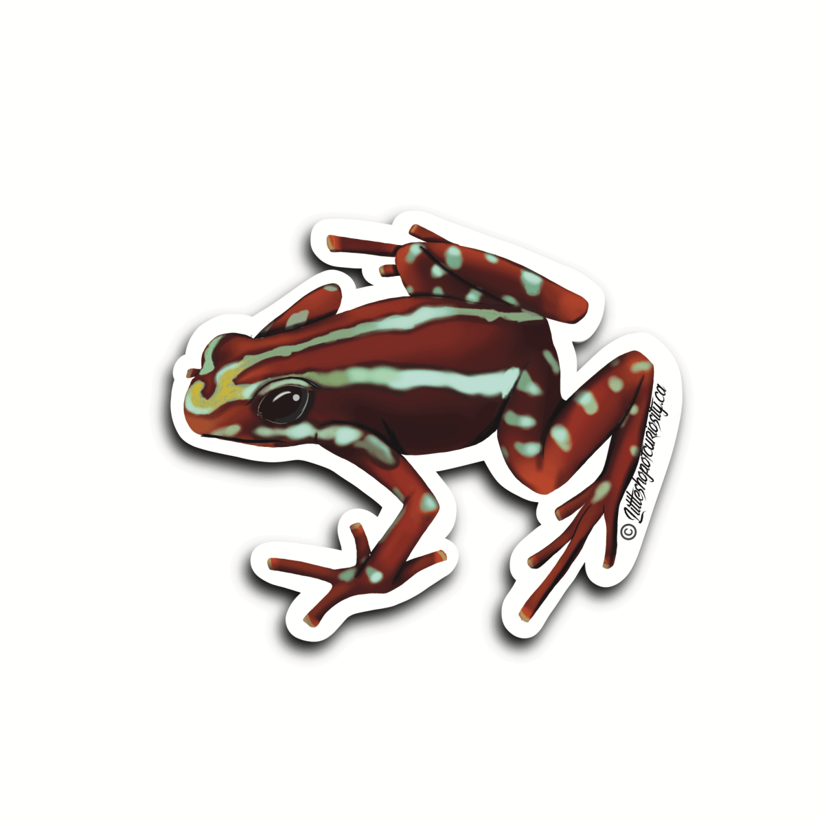Phantasmal Poison Dart Frog Sticker - Colour Sticker - Little Shop of Curiosity
