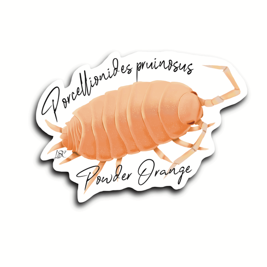 Powder Orange Isopod Sticker - Colour Sticker - Little Shop of Curiosity