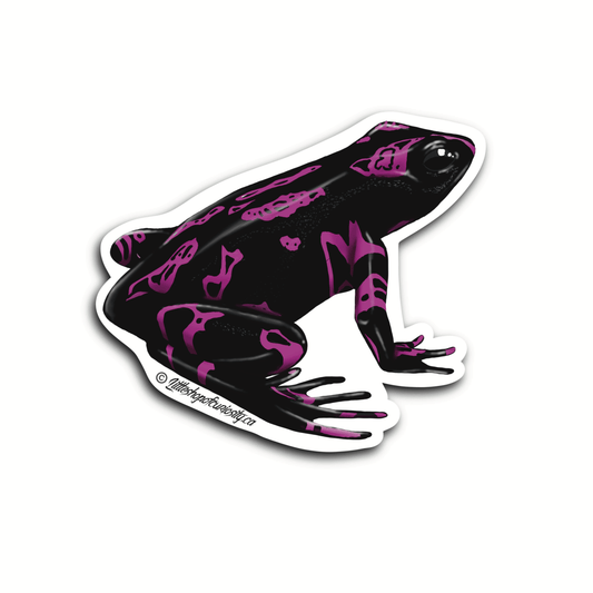 Purple Harlequin Toad Sticker - Colour Sticker - Little Shop of Curiosity