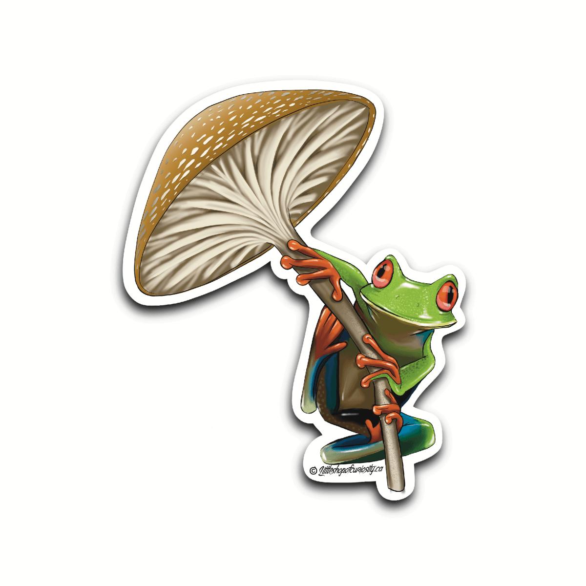 Red-eyed Tree Frog on Mushroom Sticker - Colour Sticker - Little Shop of Curiosity