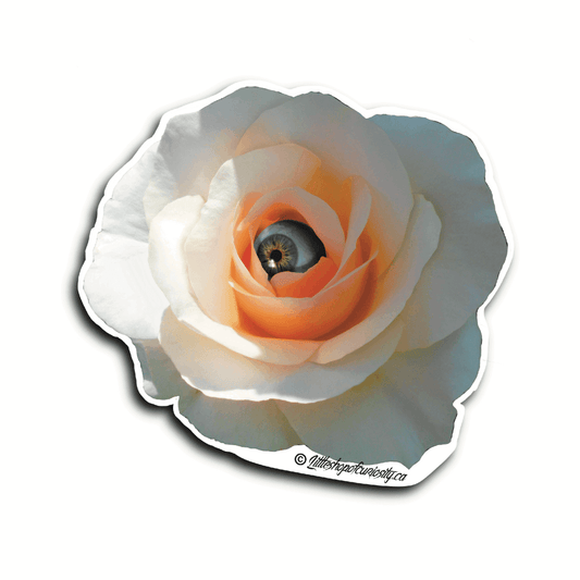 Rose Sticker - Colour Sticker - Little Shop of Curiosity