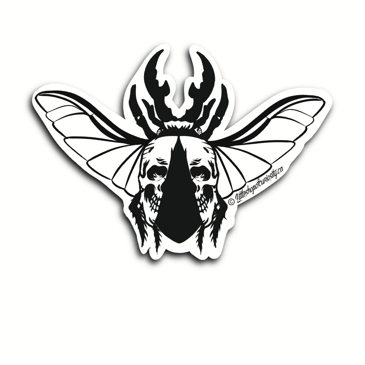 Skull Beetle Black & White Sticker - Black & White Sticker - Little Shop of Curiosity