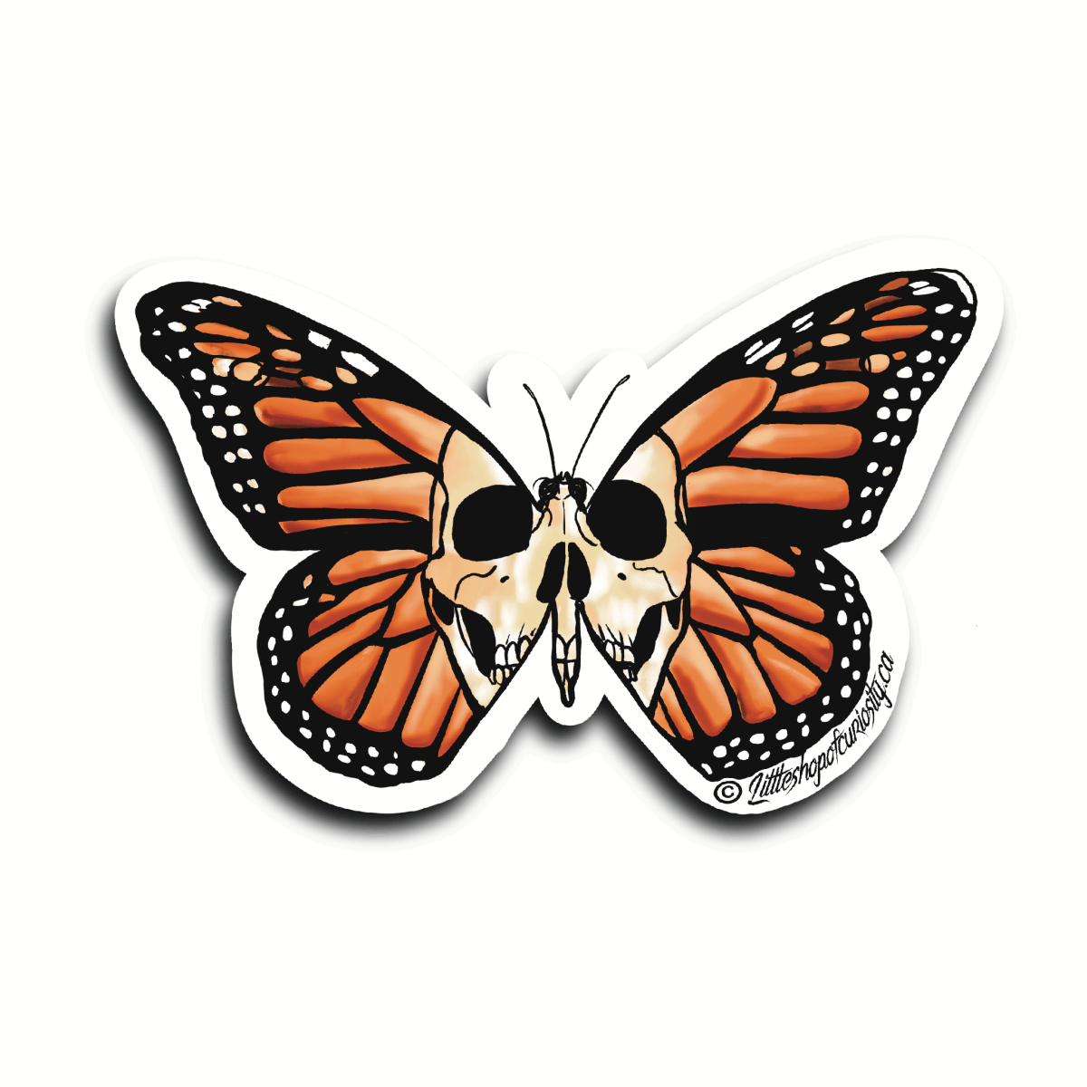 Skull Monarch Butterfly Sticker - Colour Sticker - Little Shop of Curiosity