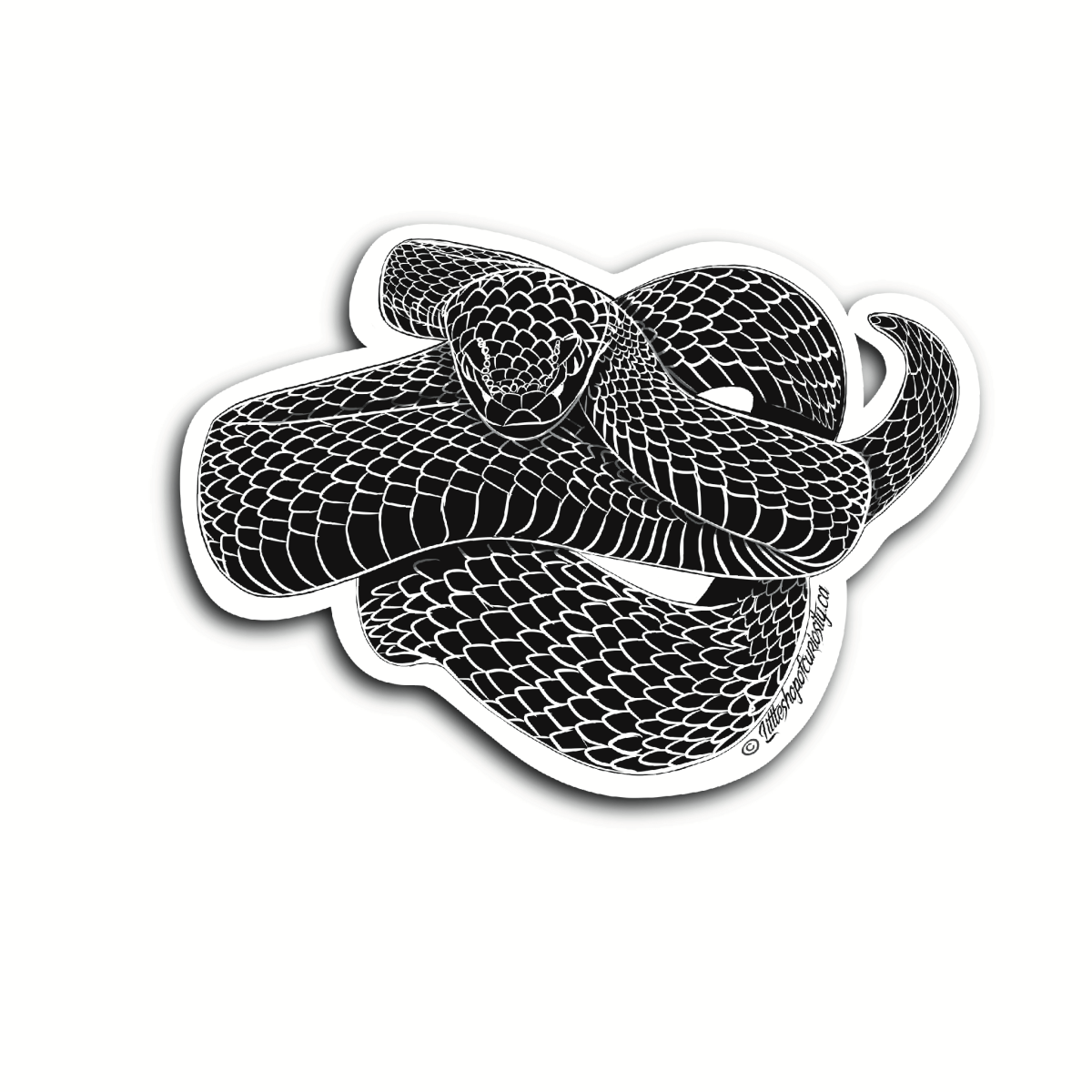 Snake Black & White Sticker - Black & White Sticker - Little Shop of Curiosity