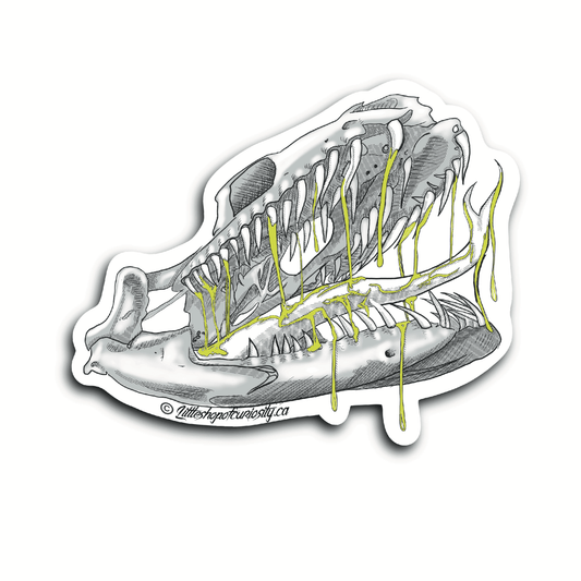 Snake Skull With Venom Sticker - Colour Sticker - Little Shop of Curiosity