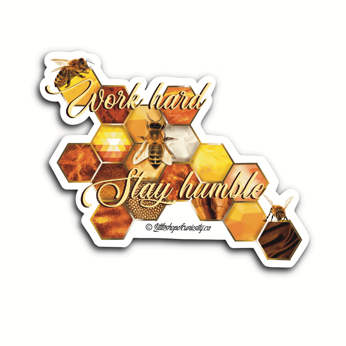 Stay Humble Sticker - Colour Sticker - Little Shop of Curiosity