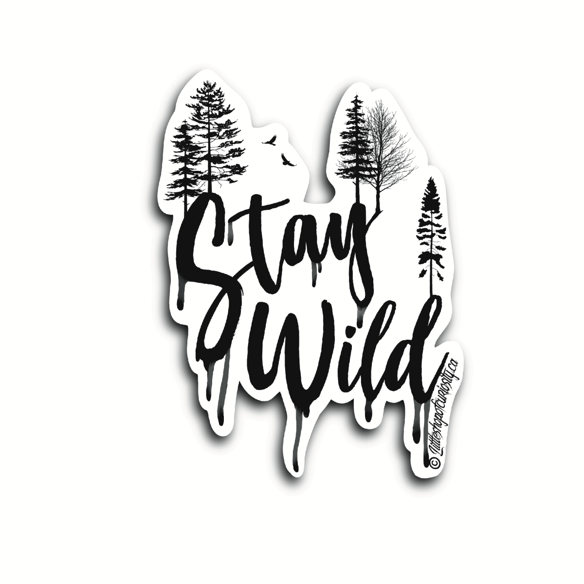 Stay Wild Sticker - Black & White Sticker - Little Shop of Curiosity