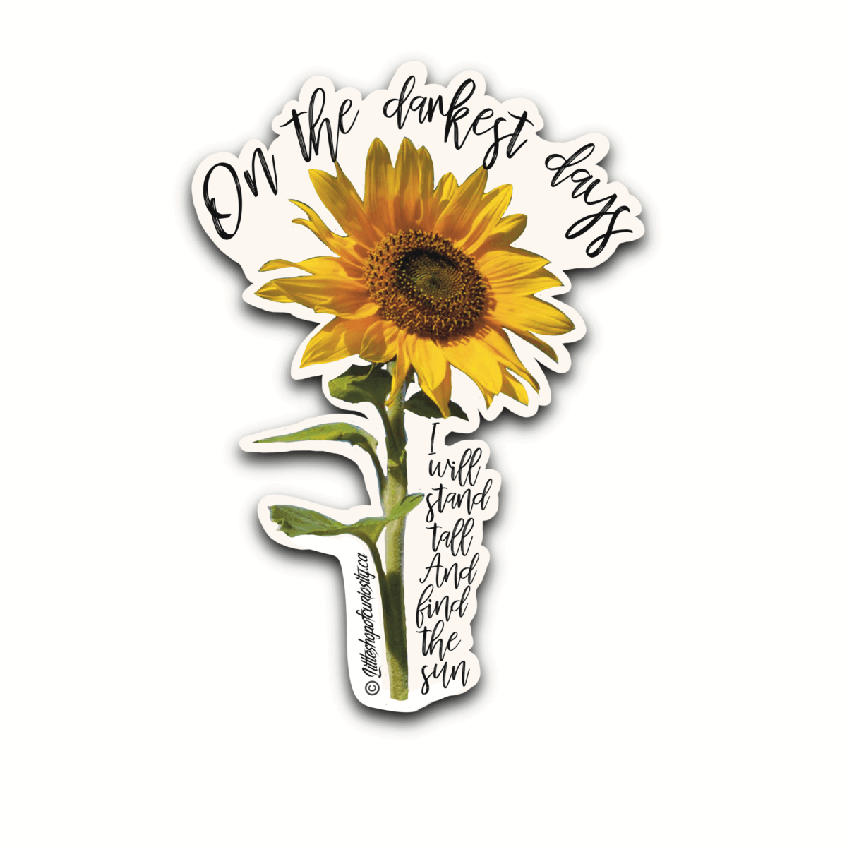 Sunflower Sticker - Colour Sticker - Little Shop of Curiosity