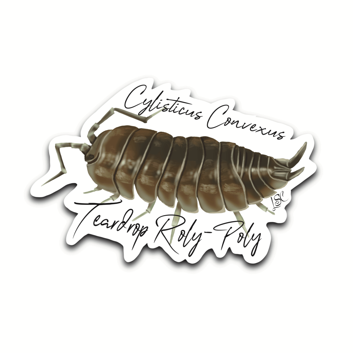 Teardrop Roly-Poly Isopod Sticker - Colour Sticker - Little Shop of Curiosity