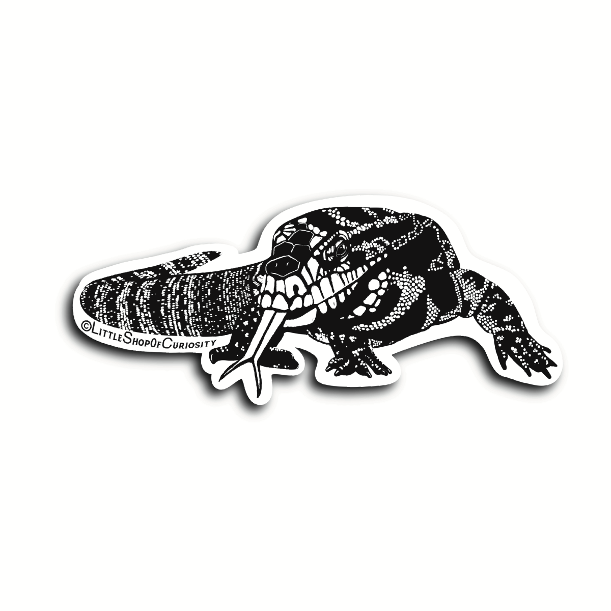 Tegu Black & White Sticker - Black & White Sticker - Little Shop of Curiosity