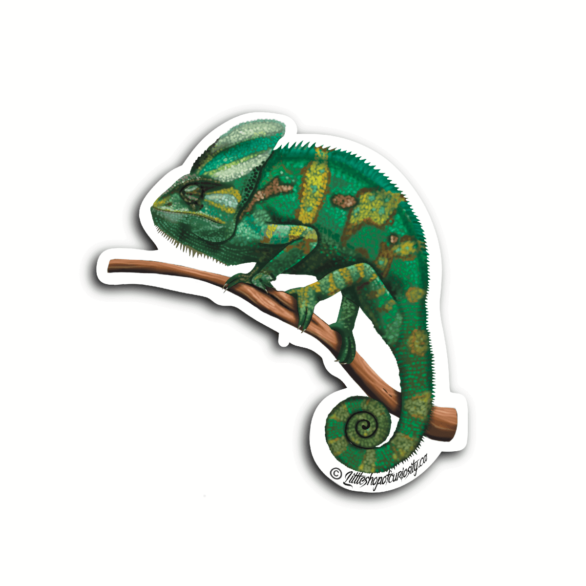 Veiled Chameleon Sticker - Colour Sticker - Little Shop of Curiosity