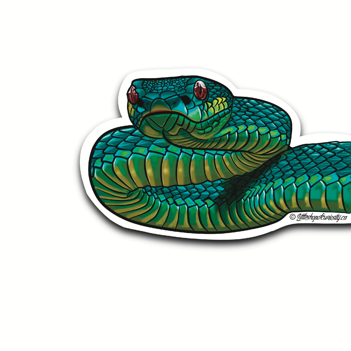 Viper Side Sticker - Colour Sticker - Little Shop of Curiosity