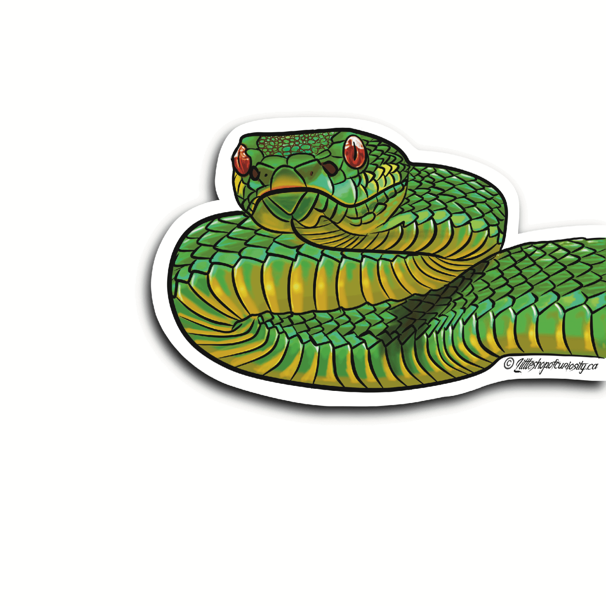 Viper Side Sticker - Colour Sticker - Little Shop of Curiosity
