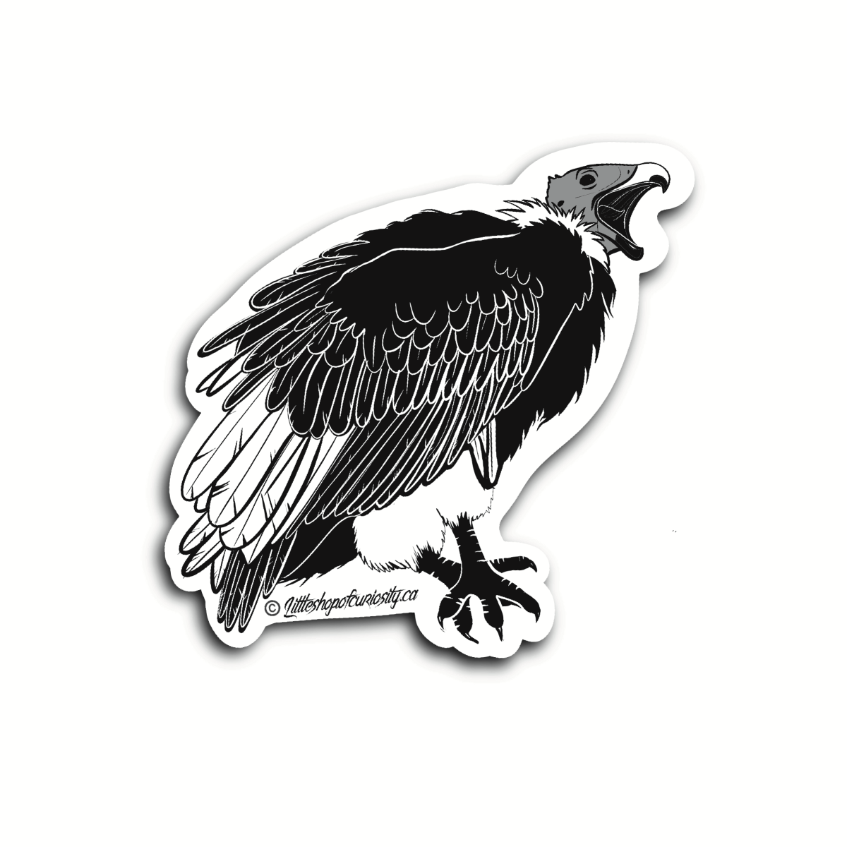 Vulture Sticker - Black & White Sticker - Little Shop of Curiosity