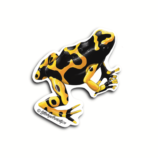 Yellow-banded Poison Dart Frog Sticker - 'Bumblebee' - Colour Sticker - Little Shop of Curiosity