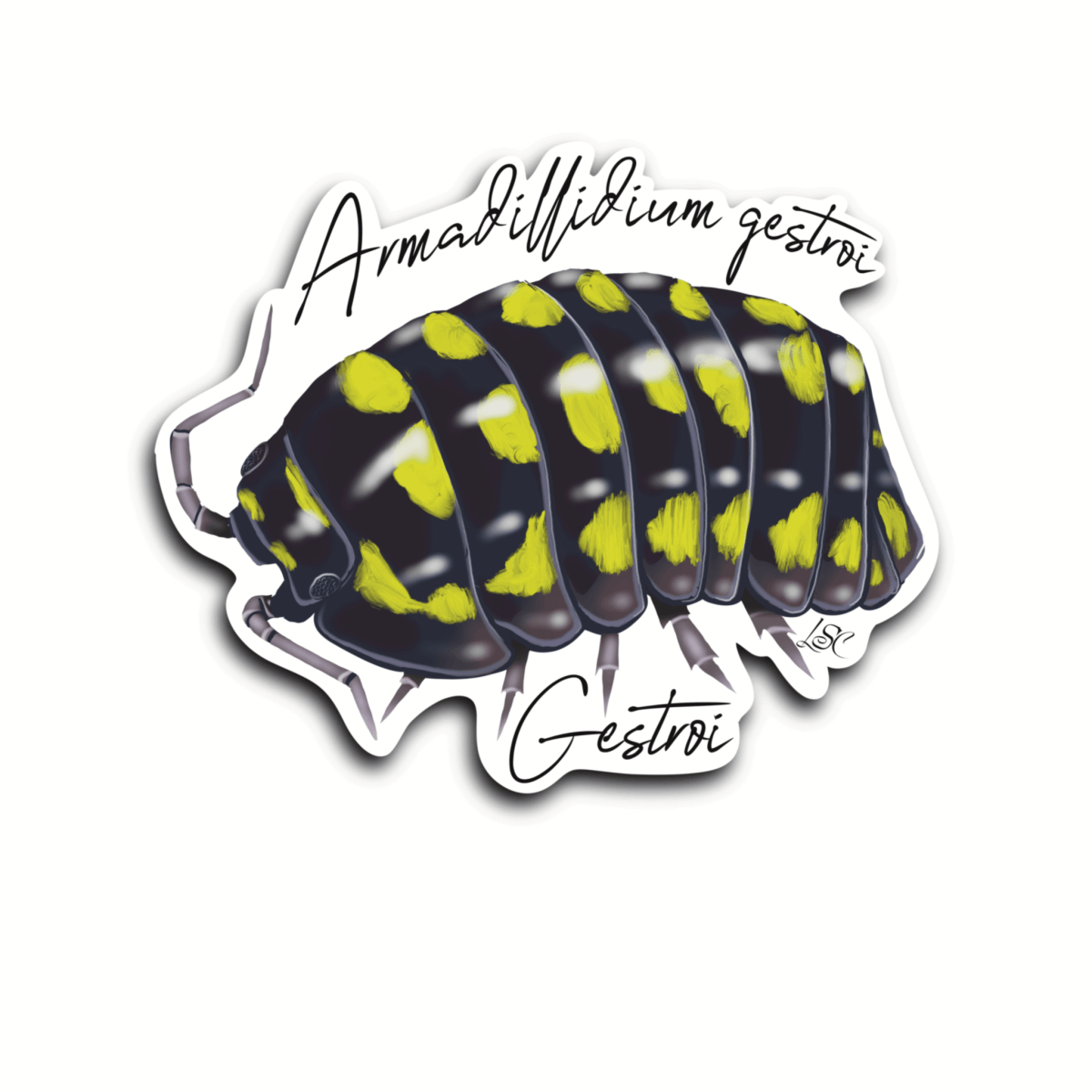 Yellow Spotted Isopod Sticker - Colour Sticker - Little Shop of Curiosity