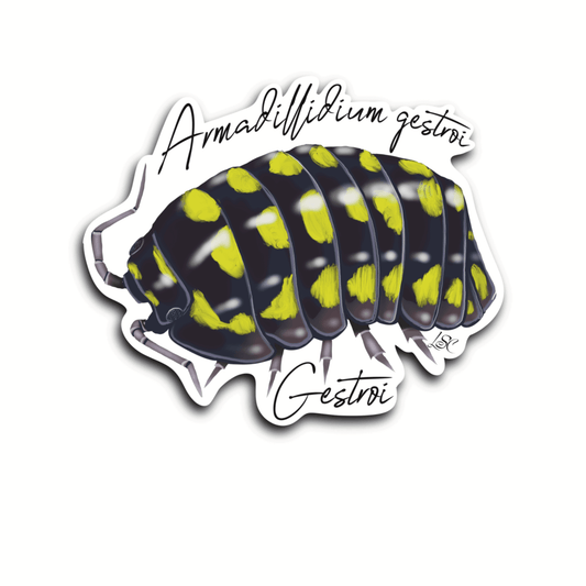 Yellow Spotted Isopod Sticker - Colour Sticker - Little Shop of Curiosity